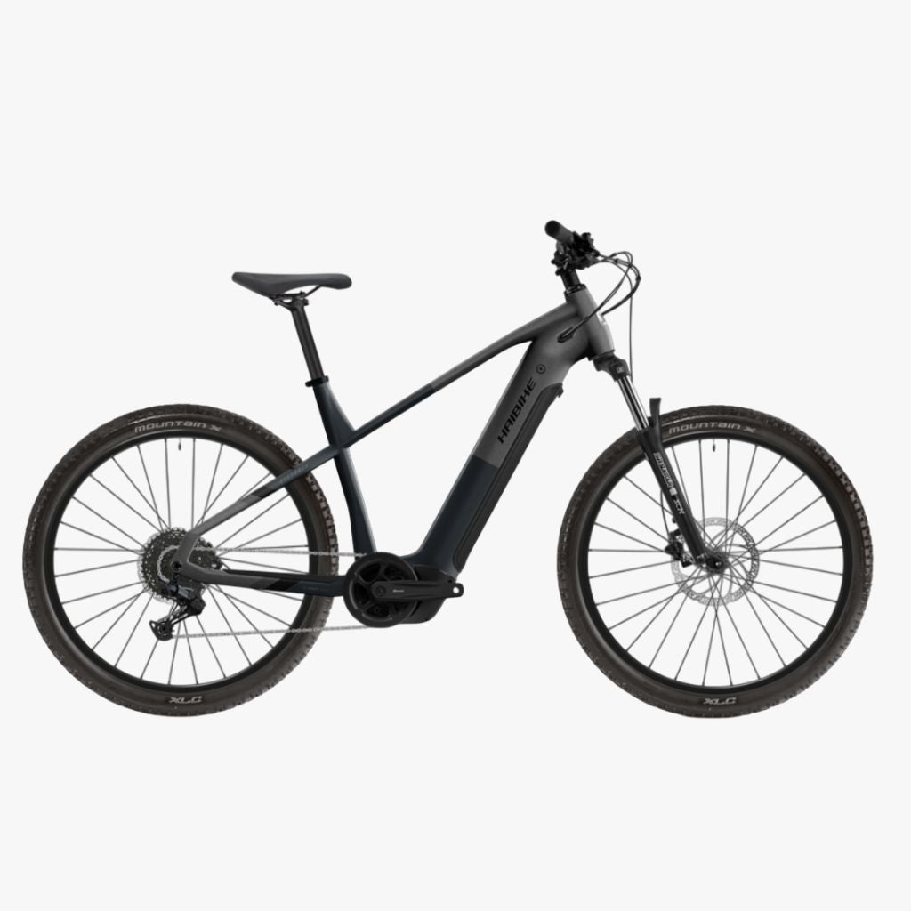 Bicicleta eléctrica de trekking Haibike ALLTRACK 4 29 high dark silver 2026