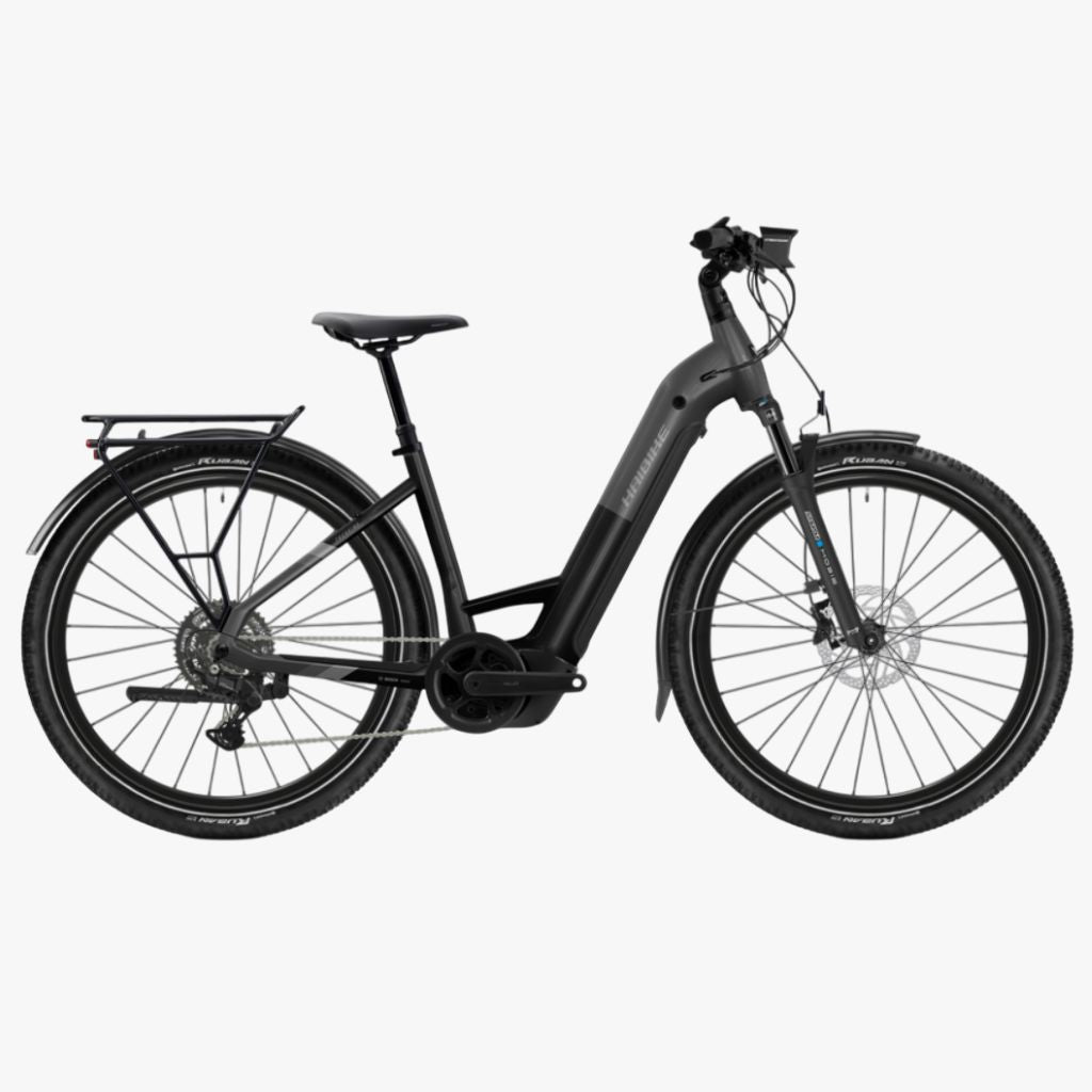 Bicicleta eléctrica de Trekking Haibike TREKKING 6.5 Low stardust/titan 2026