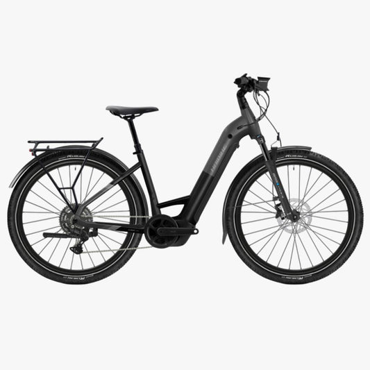 Bicicleta eléctrica de Trekking Haibike TREKKING 6.5 Low stardust/titan 2026